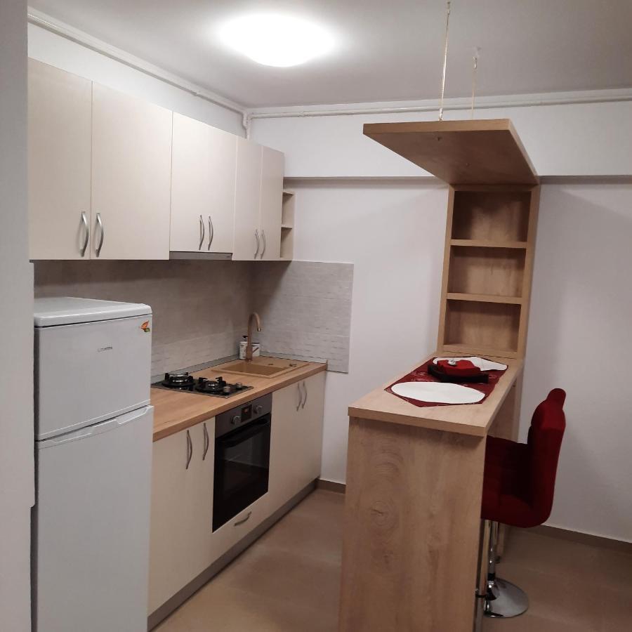 Ferienwohnung Studio Adela Iasi Exterior foto