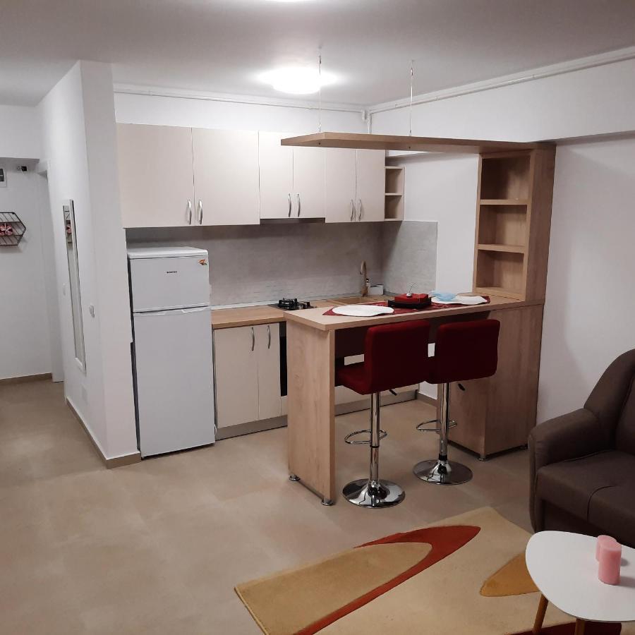 Ferienwohnung Studio Adela Iasi Exterior foto