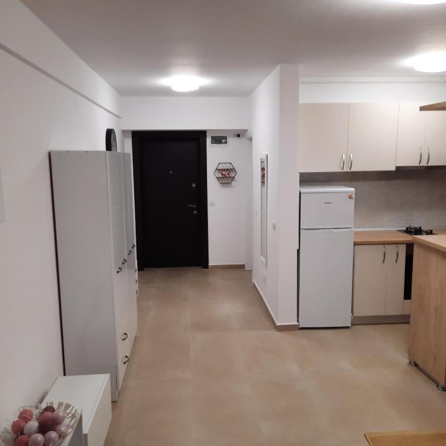 Ferienwohnung Studio Adela Iasi Exterior foto